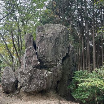 久しぶりにこっちから下山