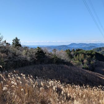 さらに左には浜名湖がわずかに見えます