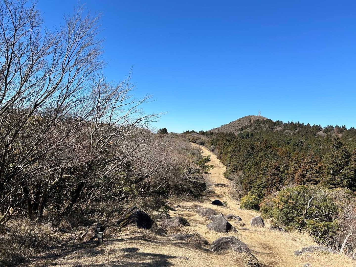 だるま山高原レストハウスバス停-金冠山-戸田峠-小達磨山 往復コースの写真