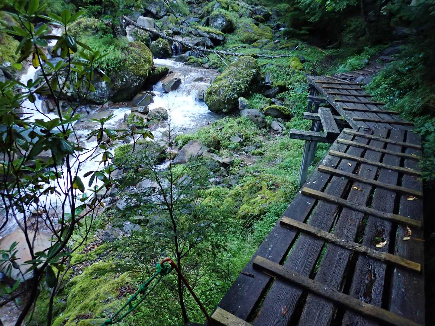北沢のルートは沢沿いを行くとても気持ちよい道。