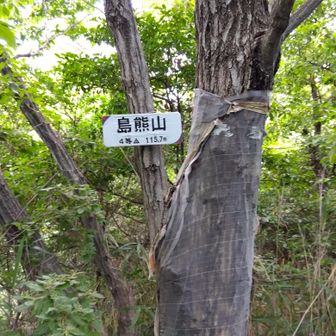 玉かつま
島熊山の夕暮れに
ひとりか君が
山路越ゆらむ   　　＜万葉集＞