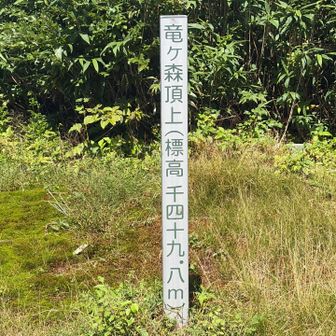 山頂到着！