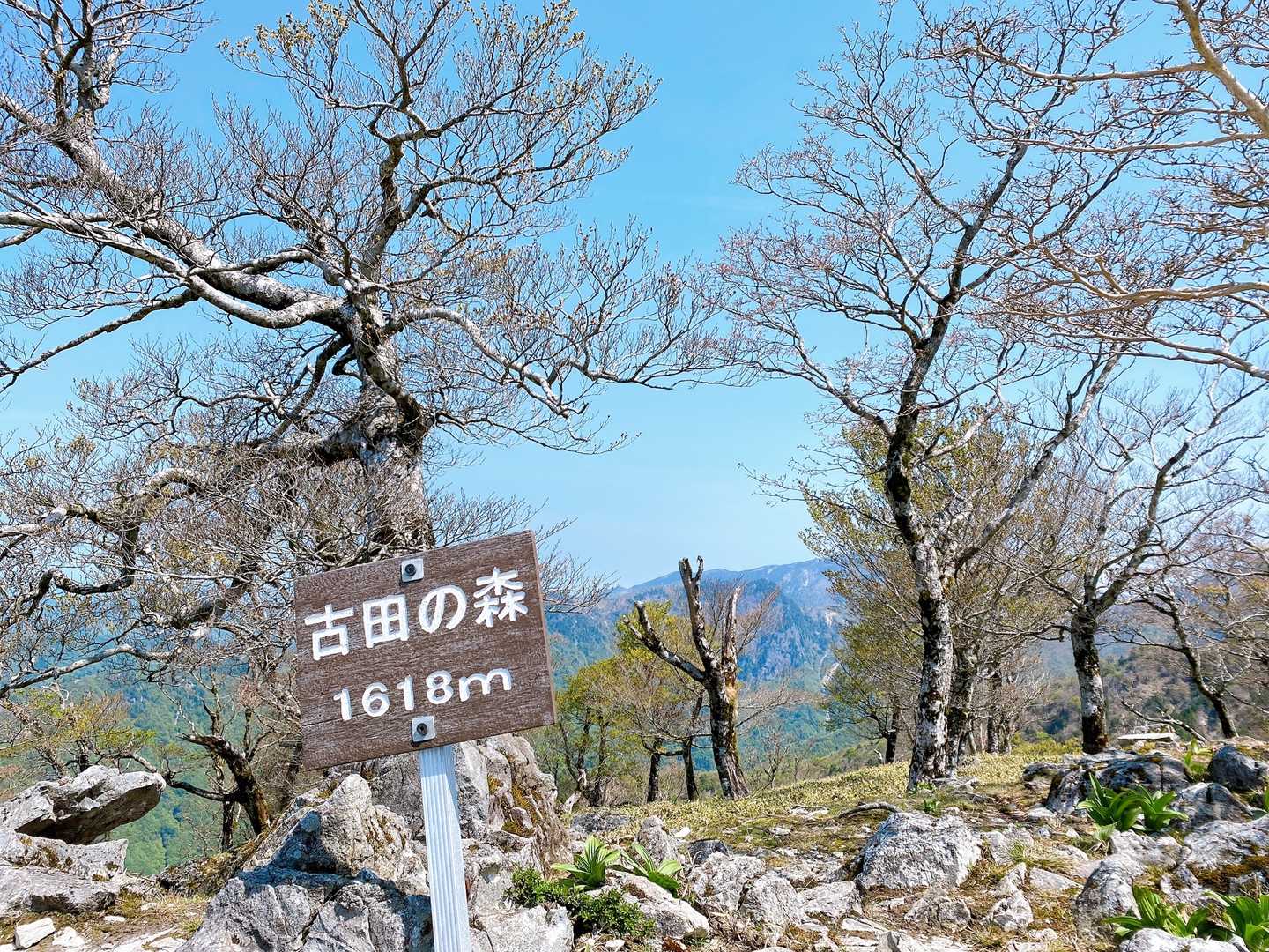 釈迦ヶ岳往復 | 360度に広がる大パノラマ。お釈迦様と奥駈道の稜線歩きの写真