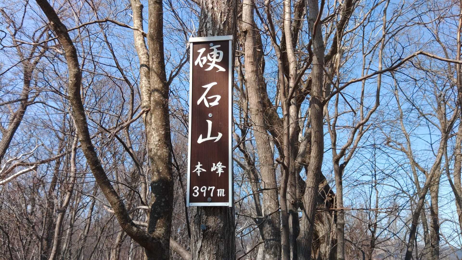 山頂についた