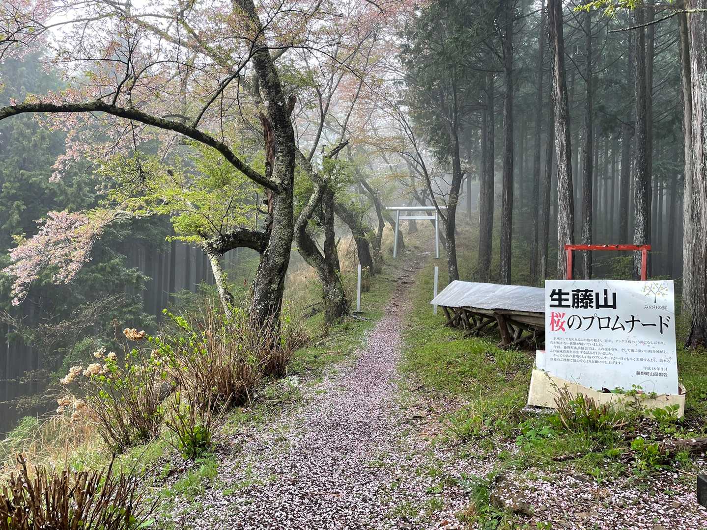 軍刀利神社-佐野川峠-生藤山 往復コースの写真