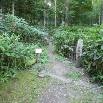 ここから登るんだけど、登りはチセのほうを回りました。