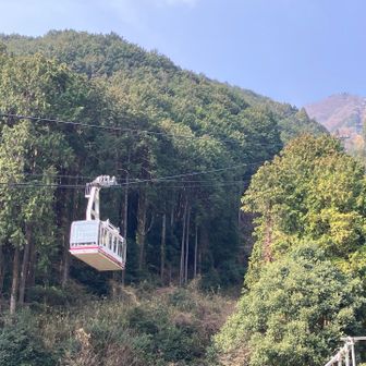 ロープウェイ、もちろん乗りません