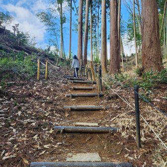もう2人でひーひー言ってます🤣体力落ちました😰