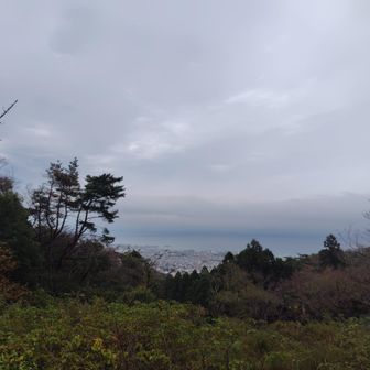 太平洋だー🤩