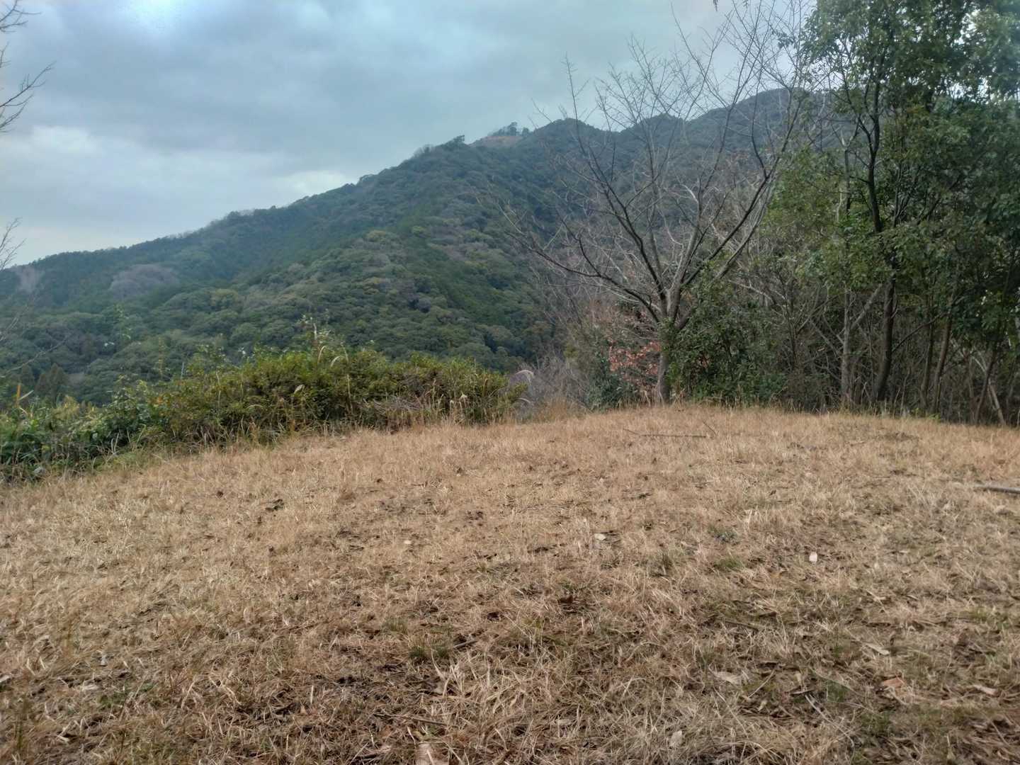 さくら山山頂はあっという間！
桜🌸の季節にぜひ再訪したい❣️