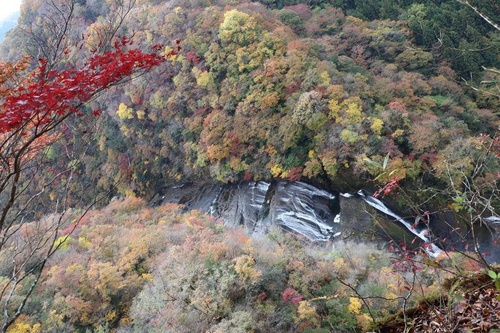 生瀬富士-茨城のジャンダルム-袋田の滝 周回コースの写真