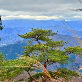 雨が降らないだけ良かったです