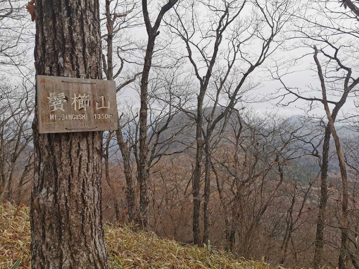 鬢櫛山（びんぐしやま）登頂