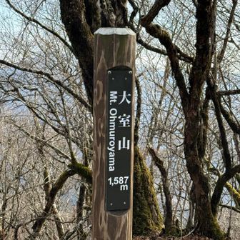 到着、何も見えないので写真撮って先に進む