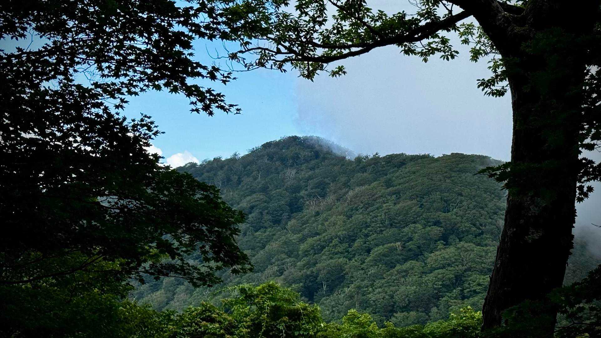快適な稜線を戻り…次の目的地⛰️“向坂山”（むこうざかやま）方向👀
