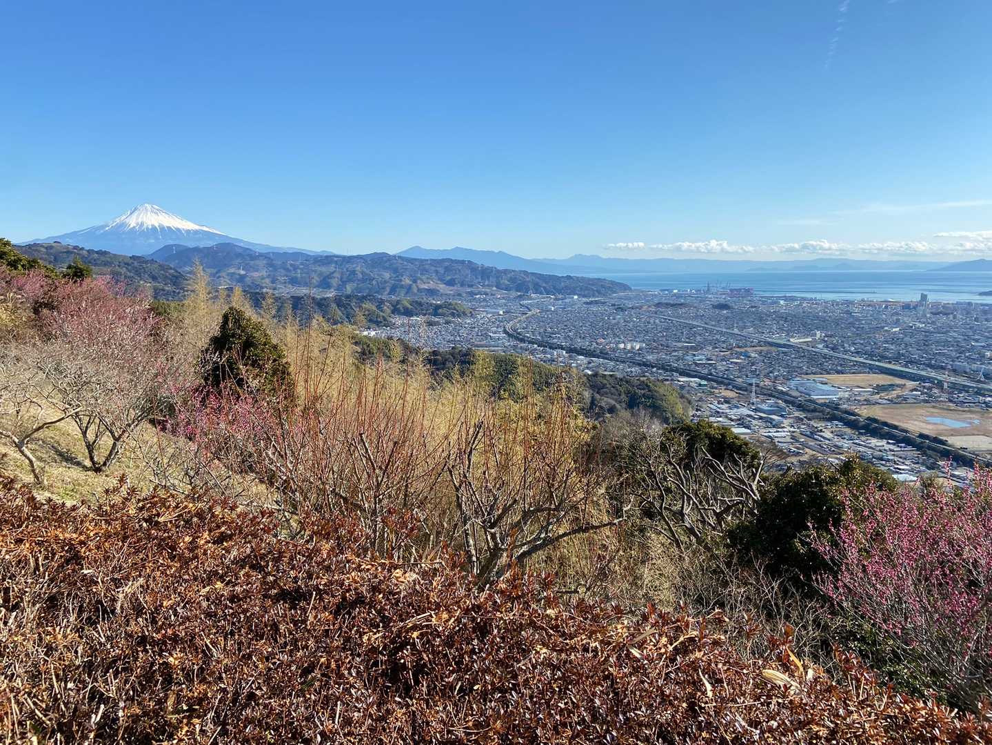 梶原山-帆掛山-柏尾峠 往復コースの写真