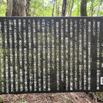 巨岩がたくさんあったのは頂上から崩落したからだったのか〜👀