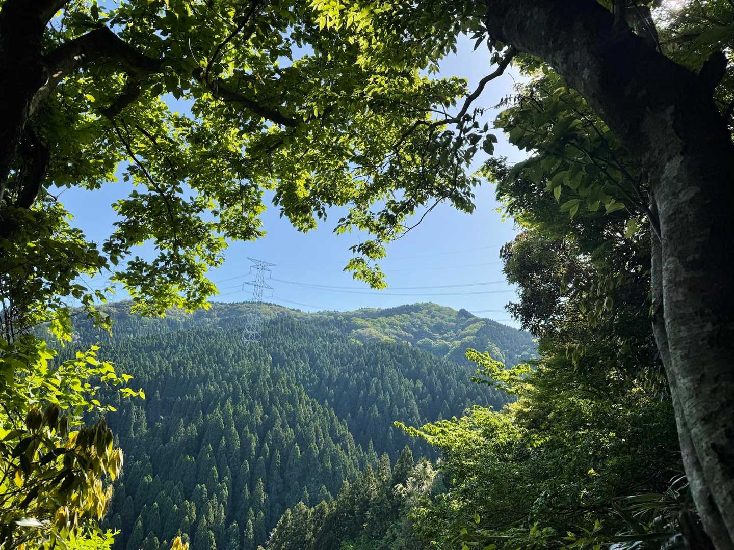 いい天気☀️