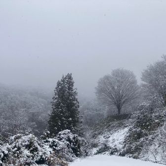 ありがとうございました🙇‍♂️🏔️