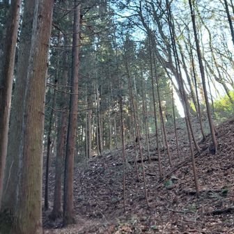 岩櫃城の木戸跡