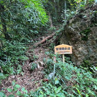 無事下山。終始気持ちよく歩けました。
おつかれ山でした。