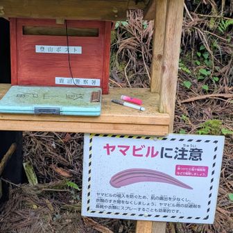 登山ポストの横にデカデカと書かれた警告の意味をまだこの時の自分は知る由もなかった。
