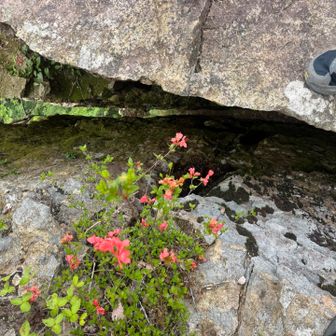跨いで撮る