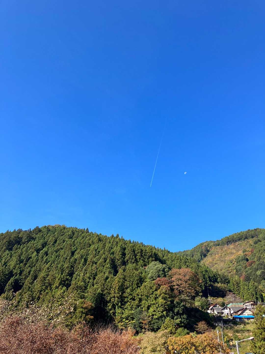 秋の空　月と飛行機曇が見えました