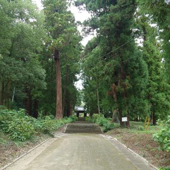 昼頃からの登山は久しぶり