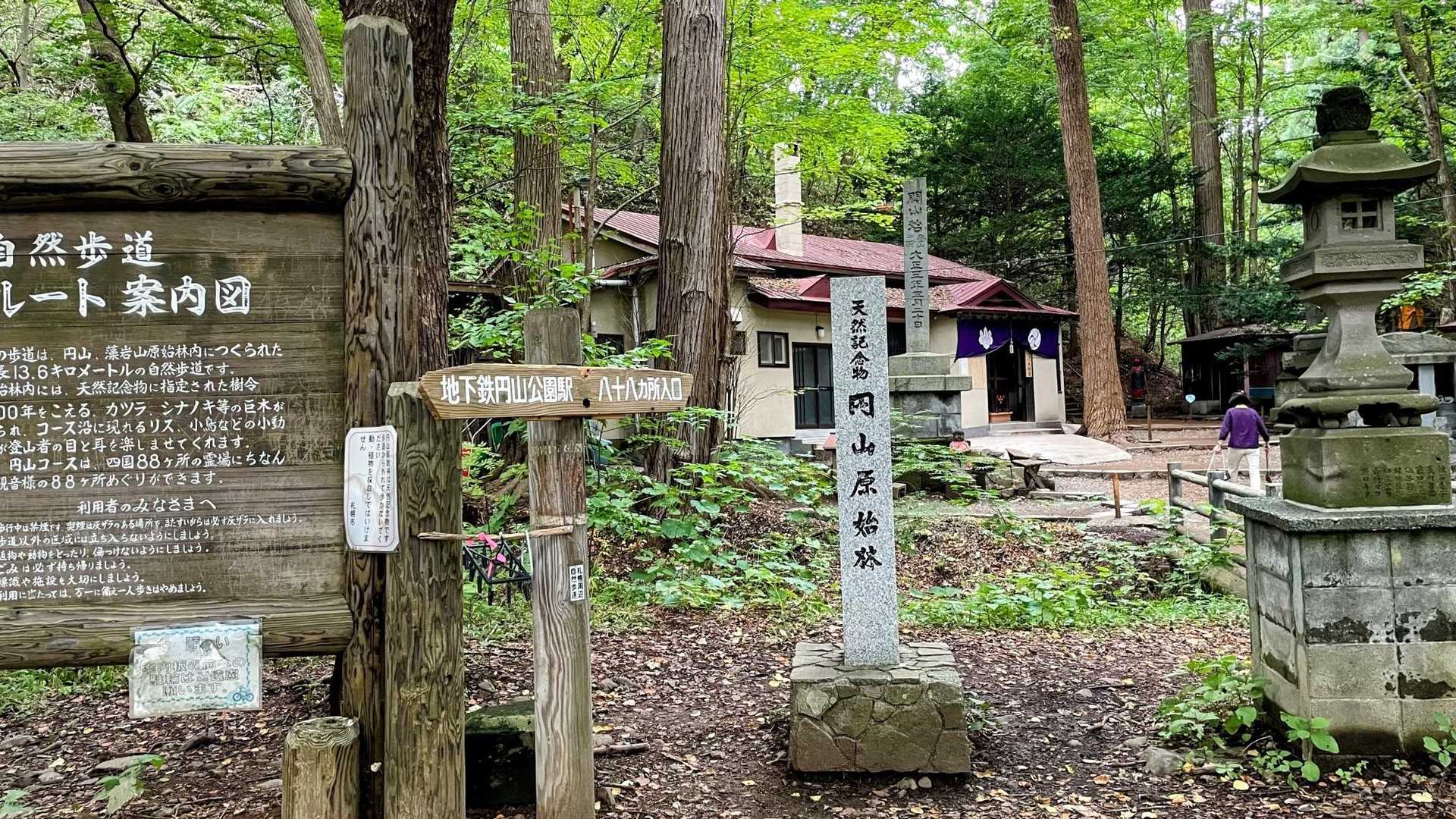 食後の運動で円山に登る