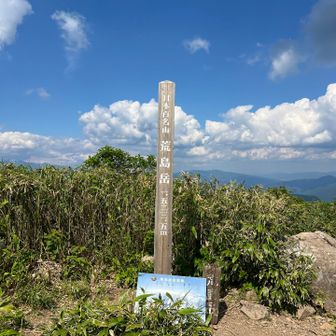登頂
避暑地がなくて意識が飛びそうになる