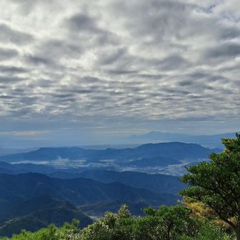 遠くに雲仙が見えていますねぇ