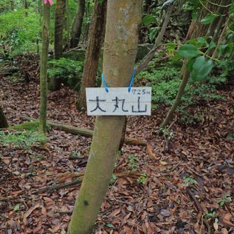 眺めなし
右を向くと