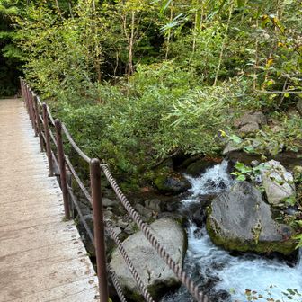 黒沢橋