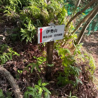 神座の窟が近づいてきた