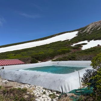 プール。相変わらず色が綺麗だわ〜🏊‍♂️