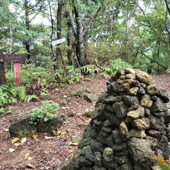 千穂ヶ峯 ピークハント🦵
見晴らしはなし