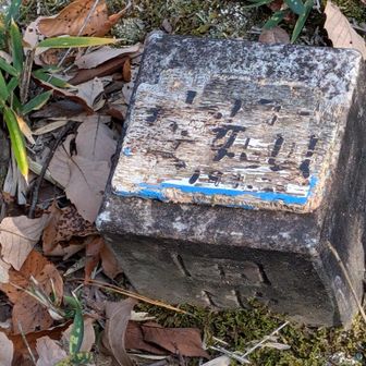 安妃山　山頂
くりさん、1111座目。
おめでとう！