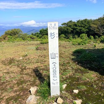 杉山登頂⛰️