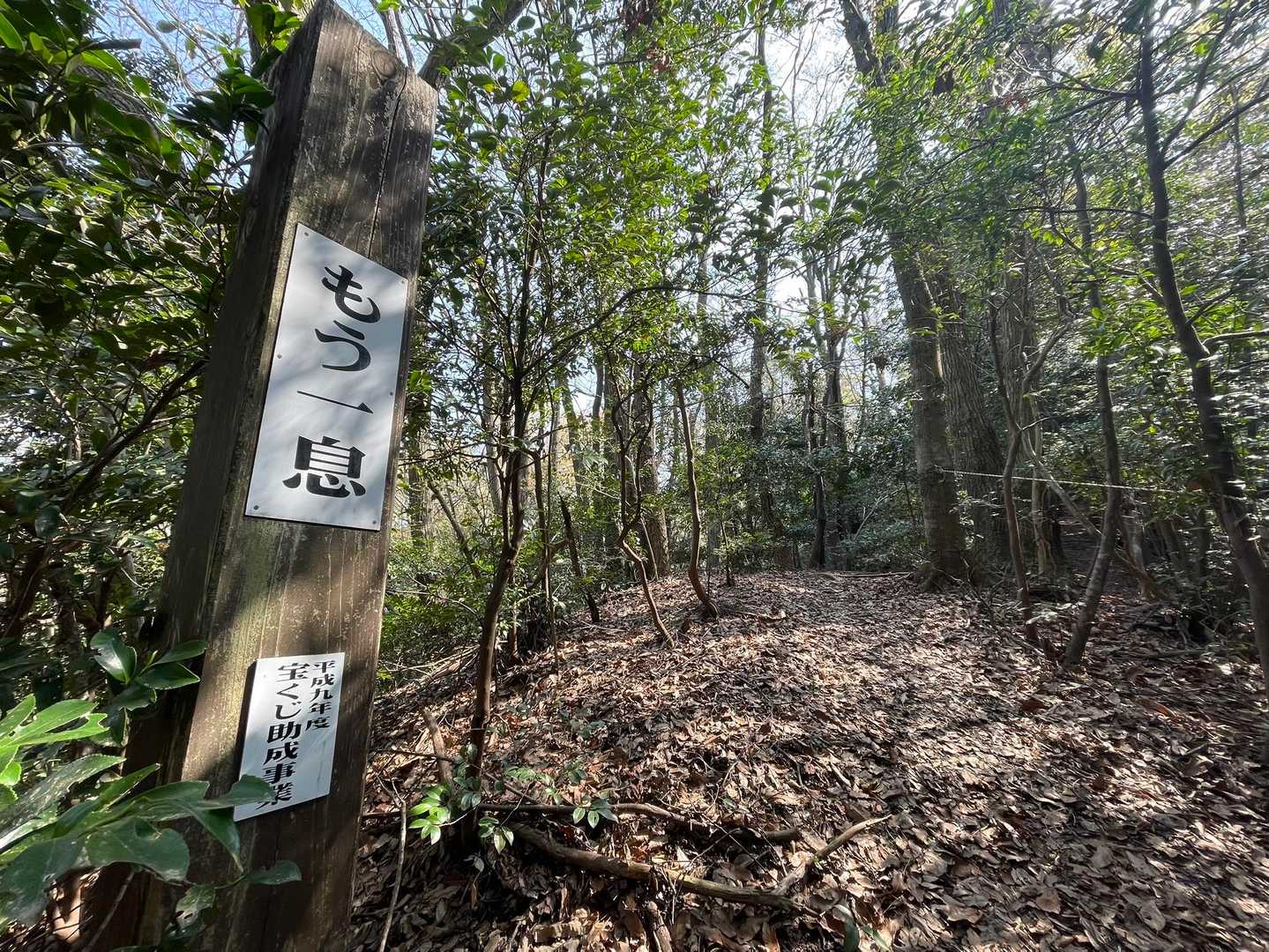 もう一息

うーーーん、いつ登っても思う。。。
ここから
もう八息 くらいなんだけどな( ˊᵕˋ ;)