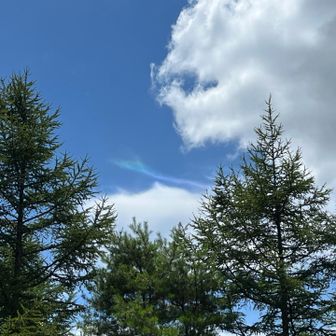 長男曰く「環水平アーク」だそうです🌈よく知ってるなぁ…