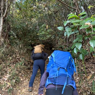 みんなでレッツゴー🚶‍♀️