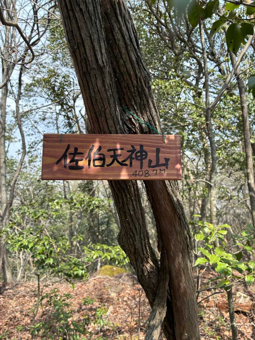 展望無し