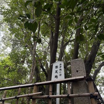 地元の方が礼をしていた木
