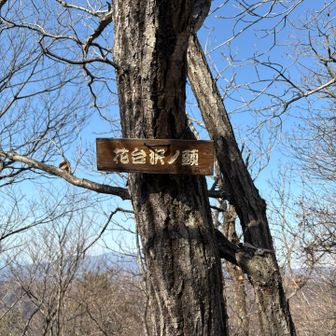 気持ちよく歩っていると左に三角点
あっ見逃すとこでした😅