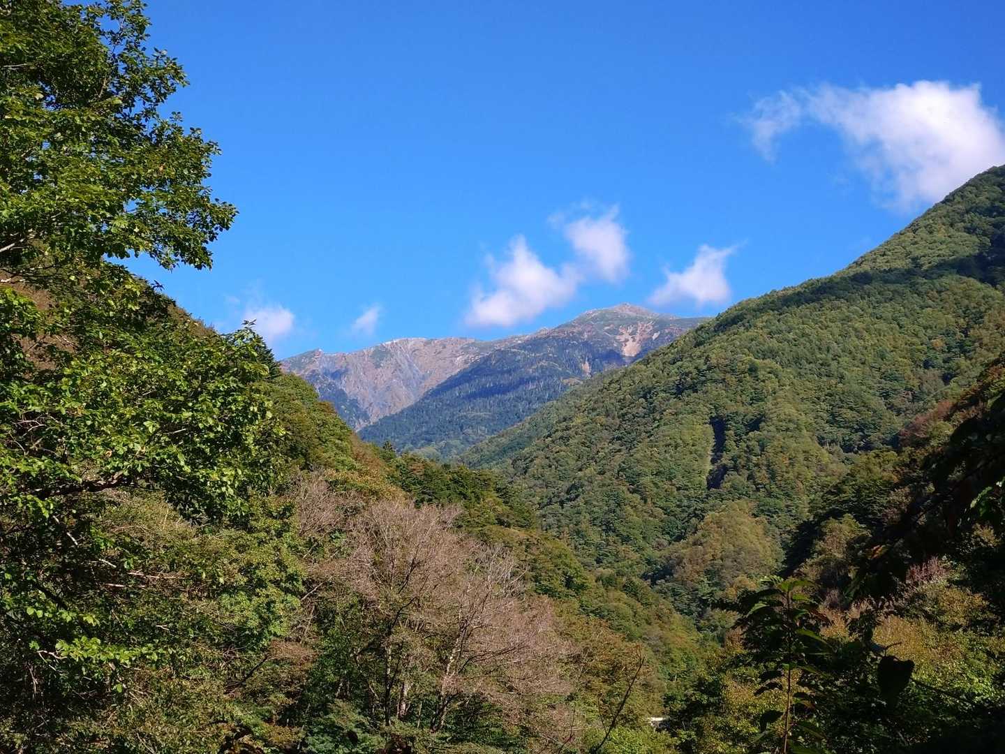 芝沢ゲート-易老渡-大木の広場-苔平-小聖岳-聖岳 往復コースの写真