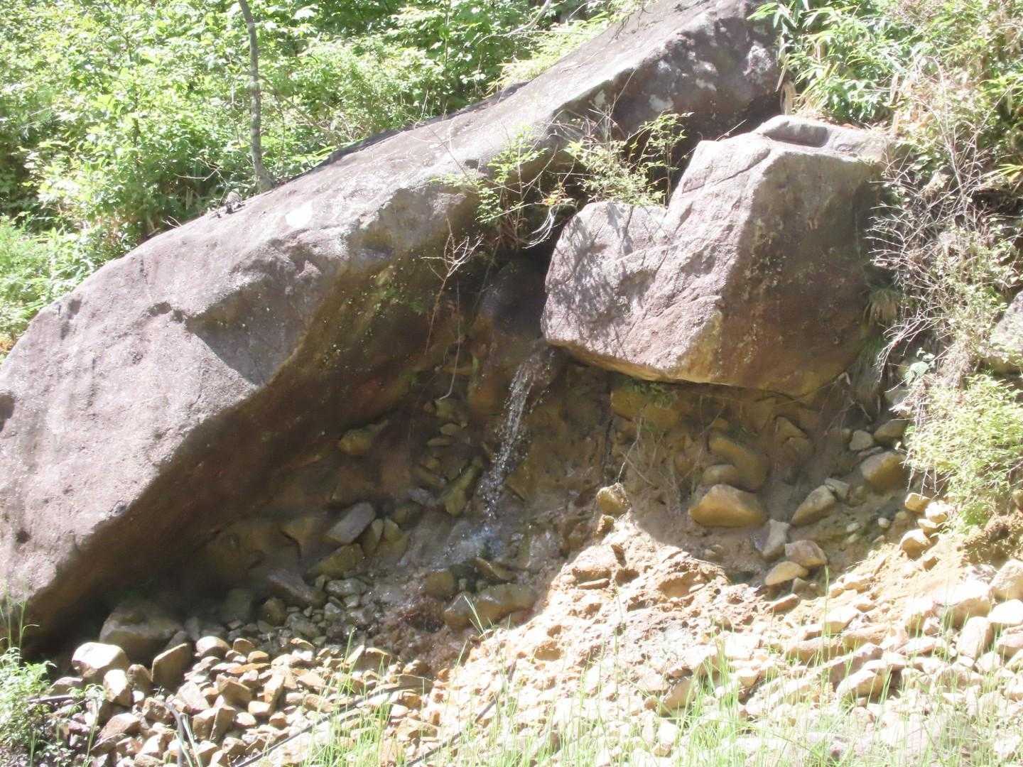この湧き水は「おみたらし」から流れてきたのかな？🤔