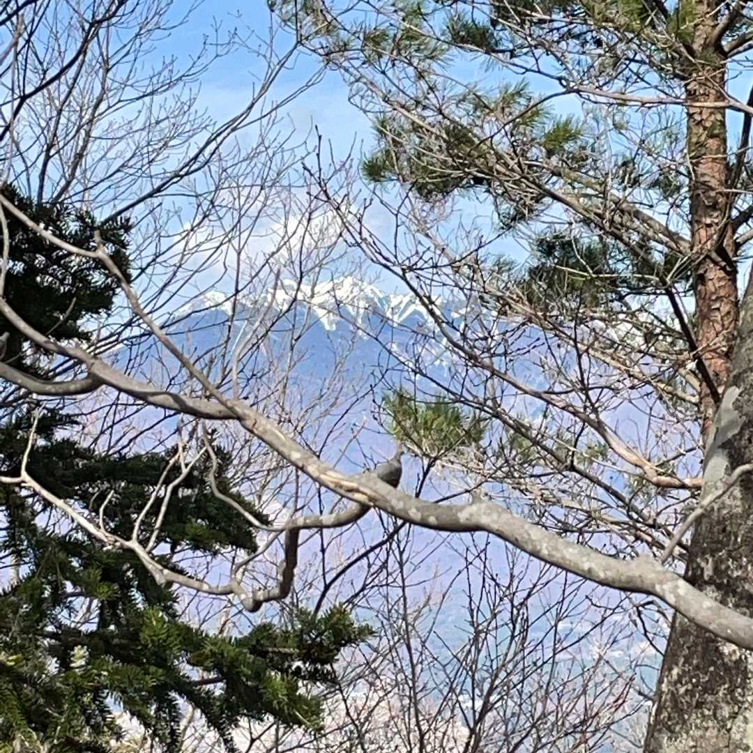 林道をずーっとあがりますが、意外に八ヶ岳目の前。