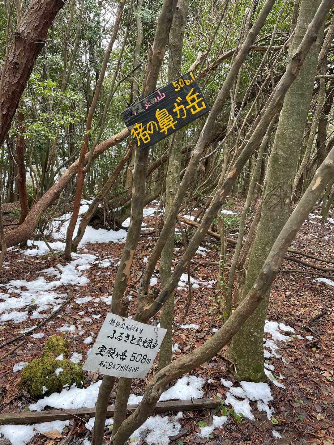 眺望がない山頂です