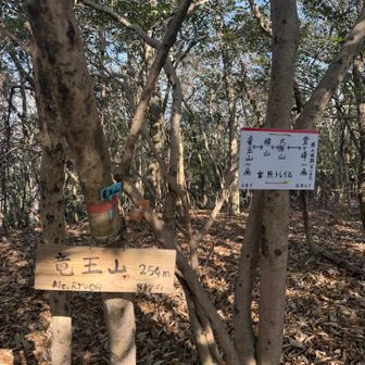 すぐに

竜王山⛰️〜🥳


白い板の情報より
三角点のある堂ヶ峰⛰️はYAMAPピークになっていない。大原⛰️から進んでいくと241mの三角点のところかな。。
ピークになってないところたくさんあるなぁ〜🙄

堂ヶ峰⛰️行かなかったけど😂